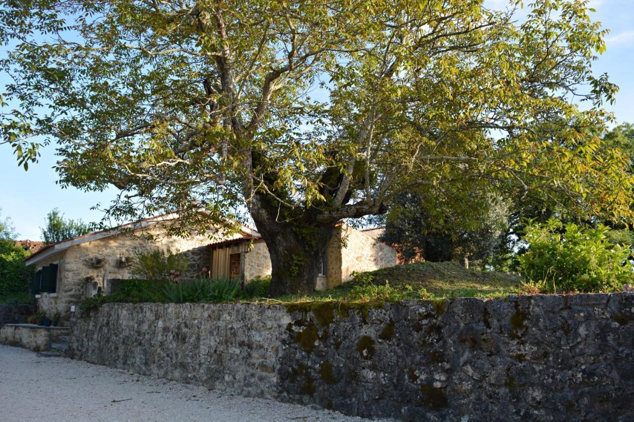 Casa Da Pedra Villa Ancião Buitenkant foto