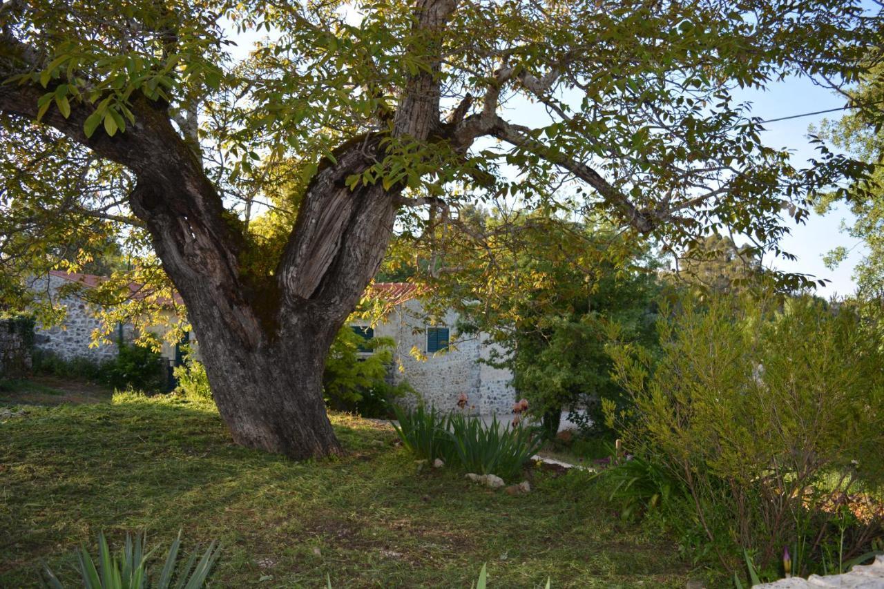Casa Da Pedra Villa Ancião Buitenkant foto